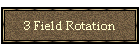 3 Field Rotation